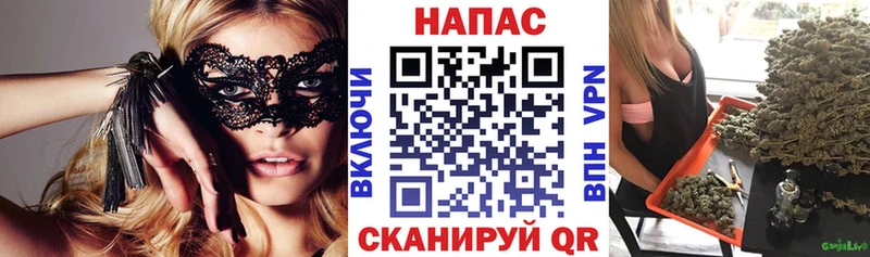 дарнет шоп  Стрежевой  omg ТОР  Бошки марихуана Amnesia 